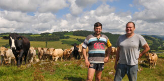 Start to Farm provides young entrant with route to becoming farm business partner Ynyr Pugh and Ben Ryder scaled