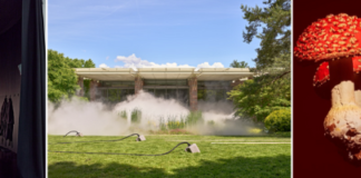 Nap at the Museum? Visitors to this Swiss art exhibition can SLEEP in one of the displays a809ce5fa3b03db62dacf8bed502678459a5f3d2