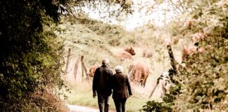 The Aging Gracefully Index: where should you live when you retire? elderly 2914879 640