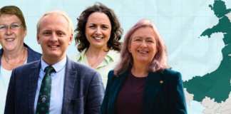 4️⃣ email header canlyniadau1