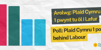 Arolwg anhygoel i Blaid Cymru email header newydd 1200 x 480 px