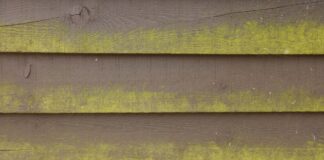 Brits urged to scrub away algae f17da3ca 8ee9 4561 9da2 7eb35393acb9