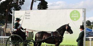 Royal Welsh Show Closing Day 2024 f3537c1b 24a2 bb5c 75d1 930db4eac4d0 scaled