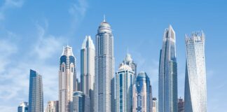 Business in Dubai: Promising Areas pexels apasaric 618079