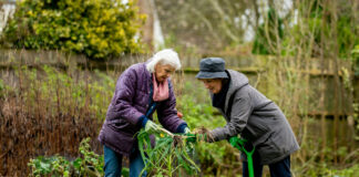 Gardening Nation: Brits’ favourite hobby revealed, with almost 40% regularly doing it pexels centre for ageing better 55954677 7849457