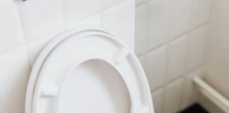 10 Shocking Signs in Your Toilet That Could Be Damaging Your Home Right Now! pexels karolina grabowska 4239074 scaled