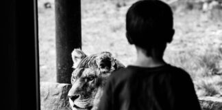 Summer fun for kids could cost families £1,000 pexels kevinbidwell 2097709