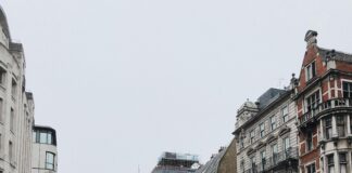 Increasing Van Thefts in the UK: How Businesses Can Protect Their Fleets pexels lina 1661563 scaled