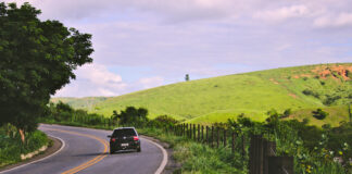 Summer holidays: Essentials car safety advice from the experts pexels maurxeugenio 1128527