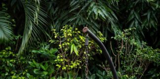 Landscaping gardening tips that won’t break the bank pexels subham majumder 1992868 3614085