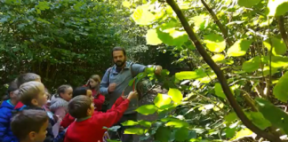 Cultivating Woodland Connections in Ceredigion unnamed 1 2