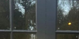 Caribbean hot sauce producer Mama Lolly’s set to scale up to meet demand 3 Mama Lollys director Donna Lee Tapper Photo credit Lucille Moore. 50