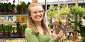 Celebrate National Allotment Week with British Garden Centres 4e5968f0363a42369566b07bce211729