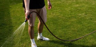 Why you shouldn’t water your lawn in the summer 961c0f5a d008 4caf ad2c 127e793b1414
