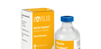 MSD Animal Health receives VMD approval for BOVILIS CRYPTIUM® Bovilis Cryptium 100ml 50 dose 300dpi scaled