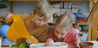 School’s out for summer with British Garden Centres outdoor activities! British Garden Centres summer holiday fun cropped scaled