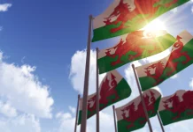 Painting The World Green: Welsh Nationalists Strike Back FUW Welsh Flags