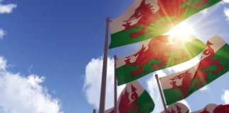 FUW Fully Endorse Recommendation On Agricultural Policy FUW Welsh Flags