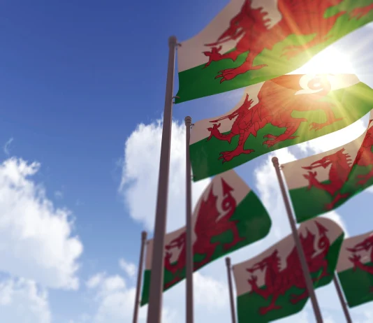 Painting The World Green: Welsh Nationalists Strike Back FUW Welsh Flags
