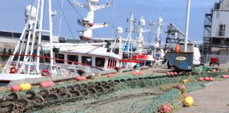 End-of-life fishing and aquaculture gear surveys launched by Seafish IMG 5604 Medium