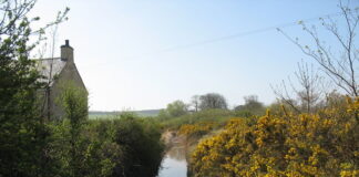 Sewage fears: 76% of people avoid swimming in UK water The copper polluted Afon Goch at Pentrefelin geograph.org .uk 1262044