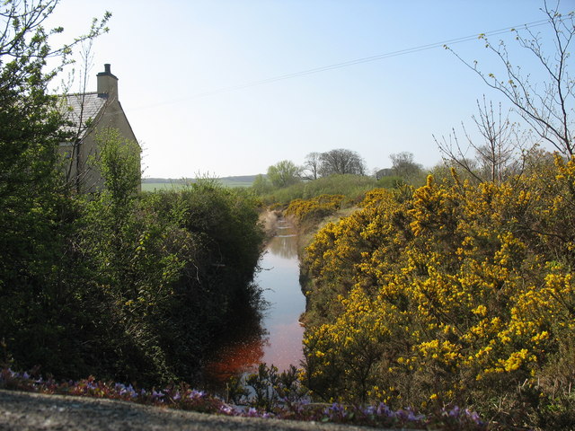 The copper polluted Afon Goch at Pentrefelin   geograph.org .uk   1262044