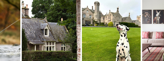 New dog-friendly cottages with pup perks and doggy menus open at SCHLOSS Roxburghe, Scottish Borders a16c1fe2503c106e234a7977bbc05104fa2a6b9d