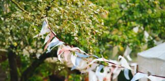 Festival flair for the perfect garden party with British Garden Centres bunting 642066 1920