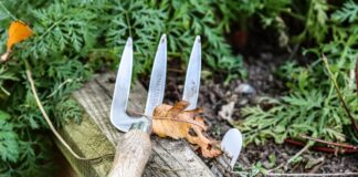 British Garden Centres guide to essential autumn gardening tools gardening 5978978 1920