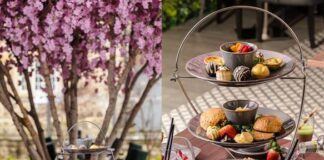 Afternoon Tea Week – enjoy afternoon tea in a Welsh 400-year-old, Grade-I listed castle image001