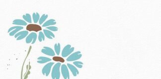 Welsh still prefer handwritten greetings cards over digital messages, as Gala Bingo teams up with Moonpig to release collection of bingo inspired cards map 1699435 640 1