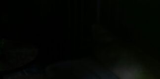 78% of Welsh people believe food makes a ‘perfect pub’ pexels kadiravsarr 24868976 scaled