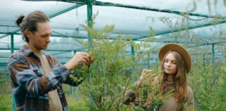 Protecting plants from storms pexels shvetsa 5230906