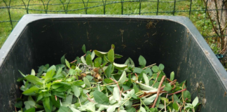 Calls for free garden waste collections pixabay