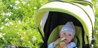 Baby Health Warning: Parents Urged To Avoid Doing This During The Summer stroller 2665648 640