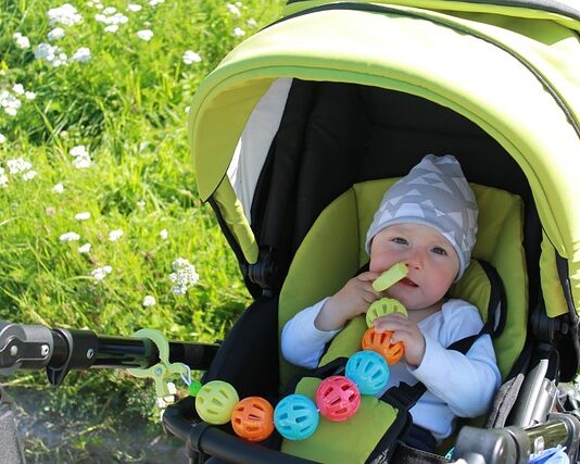 Baby Health Warning: Parents Urged To Avoid Doing This During The Summer stroller 2665648 640