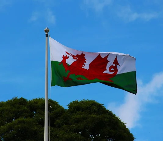 A Focus On Welsh In The Workplace welshflag