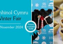 Royal Welsh Winter Fair Livestock Competitions Schedule 11e414eb b1bd 7762 4461 47fdfbadb02a