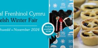 Royal Welsh Winter Fair Livestock Competitions Schedule 11e414eb b1bd 7762 4461 47fdfbadb02a