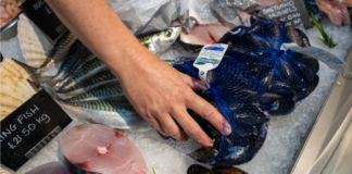 New Survey Reveals How Much Brits Know About Fish – and our eating habits! 17f6144a47f5ee272982127e4a611c1f0ae62b84