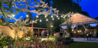 5 ways to save money in your garden 364d59d4 1408 47ca 8c69 fe159e0ae73f