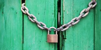 Protect your garden from thieves this autumn 78ee1346 8cb2 4330 9625 e62252062b96 50