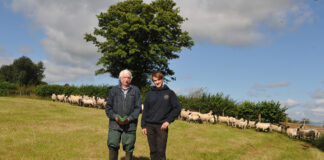 Menter ar y cyd yn datrys cyfyng-gyngor ynghylch ymddeoliad ar fferm yr ucheldir ym Mhowys Dai Williams and Dewi Jones