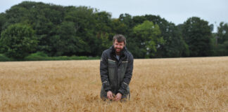 Ffermwr yn cael y gorau o’i gnydau gyda chymorth cwrs agronomeg wedi’i gefnogi gan Cyswllt Ffermio Eurig Jones with barley