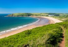 Ymunwch â’r Penwythnos Gwirfoddoli Mawr ym Mharc Cenedlaethol Arfordir Penfro a gwneud gwahaniaeth Freshwater East 1