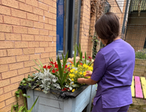 Charity funds hospital garden renovations at Bronglais Garden landscaping for Enlli Ward 2