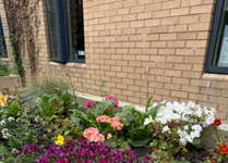 Turn Your Urban Garden Into A Wildlife Sanctuary Garden landscaping for Enlli Ward 3