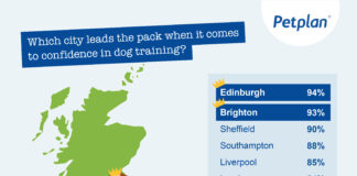 Welsh pet owners reveal their dog’s worst behavioural habit: Petplan survey Old Dog New Tricks UK map asset scaled