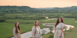 S/W Wales Band The Meadows – New Release Photo 1 by Garath Danks 1 scaled