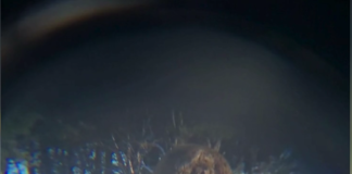 Farmer gives grandchildren rides in tractor: footage released Screenshot 2024 09 06 11.34.24 AM